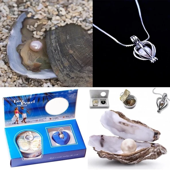 İstiridye İçinde İnci Kolye Seti ürün görseli