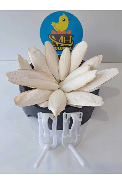 Kalamar Kemiği 250 GR + Kafes Aparatı 2 ADET ürün görseli