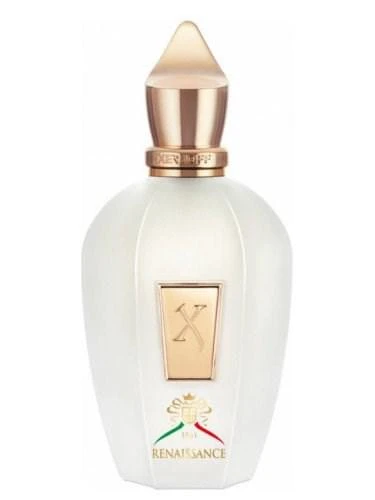 Xerjoff Renaissance EDP Baharatli Unisex Parfüm 100 ml ürün görseli