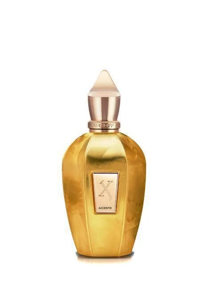 Xerjoff Accento Overdose EDP Baharatli Unisex Parfüm 100 ml ürün görseli