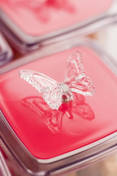 Akrilik Fuşya 12 Li Baharat Kavanozu & Baharatlık & Baharatlık Seti 200 ML ( CAM DEĞİLDİR ) - Resim 5