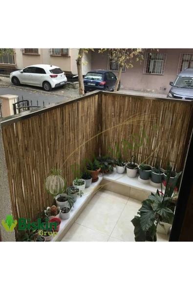 BİŞKİN 50CM x 5METRE Doğal Bambu Kamış Çit, Hasır, Bahçe ve Balkon Deokarasyonu , Misina İpli Natural - Resim 3