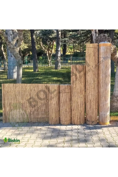 BİŞKİN 2m x 5m Kamış Çit Doğal Dekoratif Çit Misina İpli - Resim 3