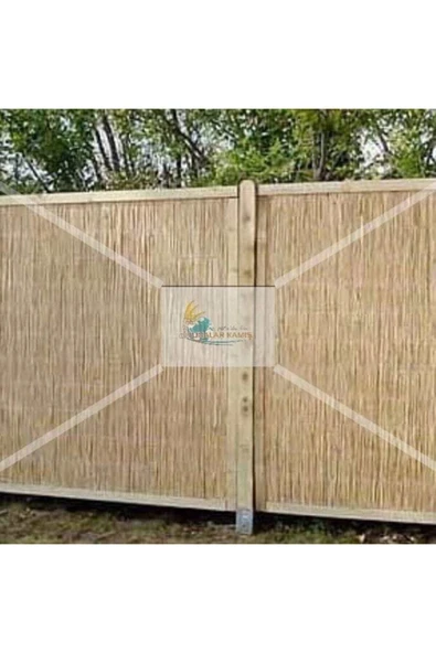 BİŞKİN Kamış Kamış Hasır 2 Metre Eni 6 Metre Uzunlugu - Resim 2