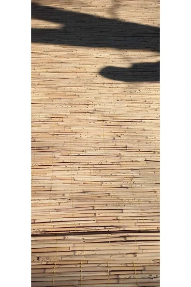 BİŞKİN 1.5m X 5m Bambu Kamış Bahçe , Dekorasyon , Misina Ipli , Balkon , Veranda, Mahremiyet Çiti ürün görseli 1