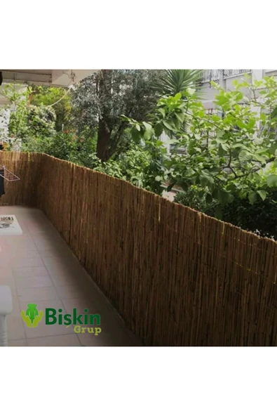 BİŞKİN 100 CM X 6 Metre Bamvu Kamış Hasır Çit, Misina İpli Bahçe Ve Balkon Dekorasyonu, Gölgelik Reedfence - Resim 3