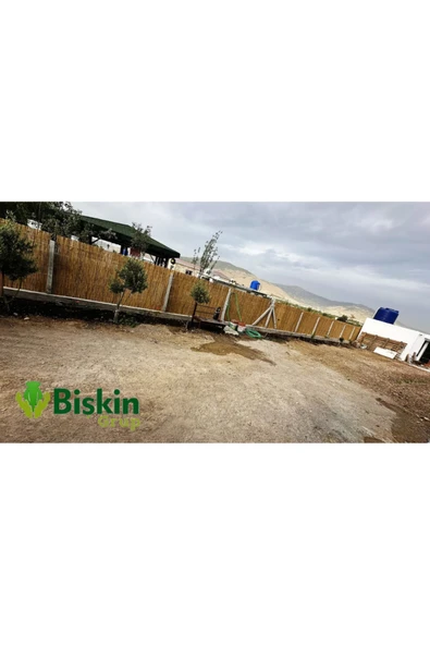 Bolvadi 250CM Yükseklik X 200CM Genişlik Doğal Bambu Kamış Hasır Çit Dekoratif Bahçe Balkon ve Duvar Çiti . - Resim 4