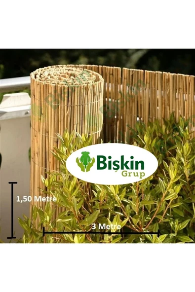 BİŞKİN 1,50 Metre X 3 Metre  Eber Gölünden Sazlık Kamış , Bambu , Gölgelik Çit, Bahçe Çiti, Hasır - Resim 2