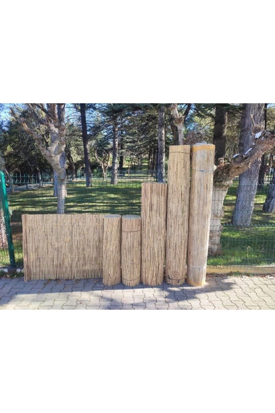 BİŞKİN 1Metre x 6Metre Eber Gölünden Bambu Kamış Hasır Çit, Gölgelik Bahçe ve Balkon Çiti Reed Fence - Resim 3