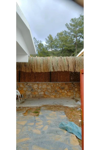 BİŞKİN Dekoratif Doğal Püskül Otu, Saçak Otu / Saçak Otu Yükseklik 100 cm x Genişlik 2 Metre - Resim 2