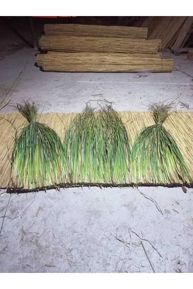 BİŞKİN Dekoratif Doğal Püskül Otu, Saçak Otu / Saçak Otu Yükseklik 100 cm x Genişlik 2 Metre - Resim 3