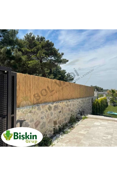 BİŞKİN 50cm x 250cm Doğal Bambu Kamış Çit Deokarsyon ,Bahçe ve Balko Çiti - Resim 4