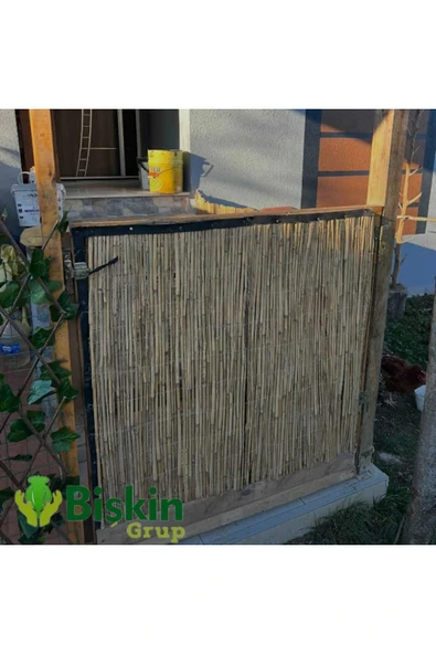 BİŞKİN Doğal Kamış Hasır Çit 1 Metre x 1 Metre Balkon Çiti, Hasır Bambu Çit, Bahçe Çiti ve Gölgelik - Resim 4