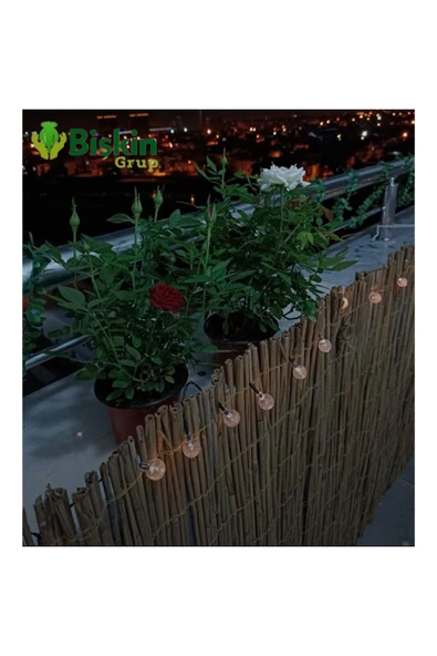 Bolvadi 75CM Yükseklik X 100CM Genişlik Bambu Kamış Hasır Çit Dekoratif Bahçe Balkon ve Duvar Çiti ReedFence - Resim 2