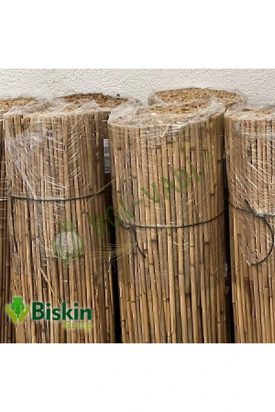BİŞKİN 80cm X 2m Afyonkarahisardan Misina Ipli Doğal Bambu Kamış Çit,bahçe Çiti,hasır Çit, Gölgelik - Resim 2