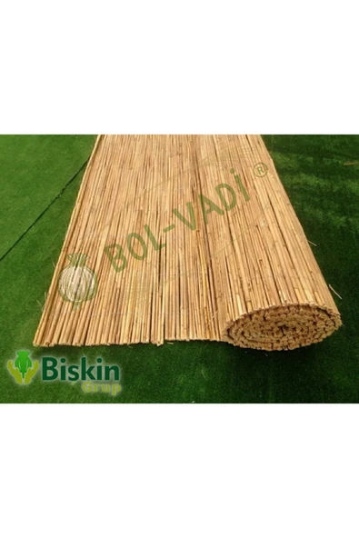 BİŞKİN 1.5m X 5m Bambu Kamış Bahçe , Dekorasyon , Misina Ipli , Balkon , Veranda, Mahremiyet Çiti - Resim 4
