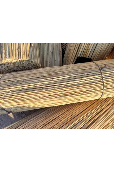 BİŞKİN 1.5M X 2.5M Afyonkarahisardan Misina Ipli Doğal Bambu Kamış Çit,bahçe Çiti,hasır Çit, Gölgelik - Resim 3