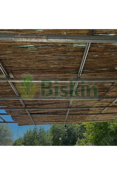 BİŞKİN 110 CM X 1 Metre Bambu Kamış Hasır Çit , Bahçe Balkon Gölgelik vb. Dekorasyon Doğal ürün görseli 1