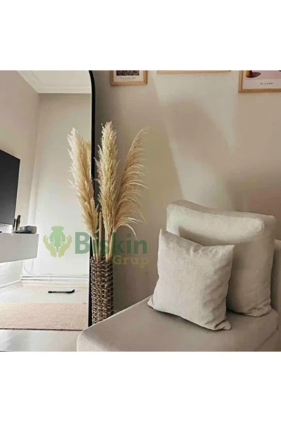 Bolvadi 20 Adet Kuru Çiçek Doğal Pampas Dekoratif Ürün - Resim 5