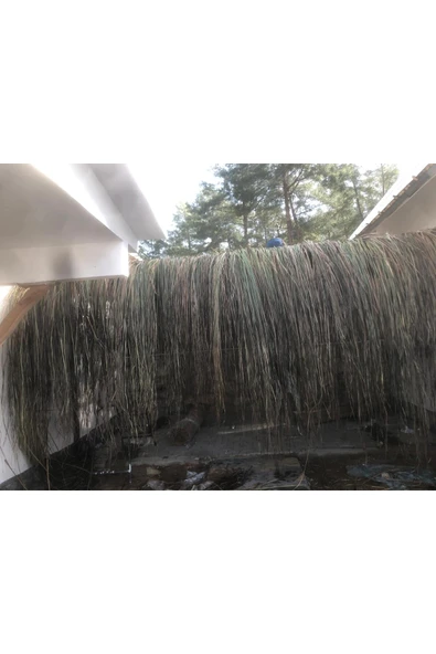 BİŞKİN Dekoratif Doğal Püskül Otu, Saçak Otu / Saçak Otu Yükseklik 170 cm x Genişlik 2 Metre - Resim 2
