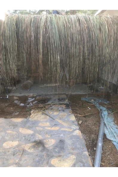 BİŞKİN Dekoratif Doğal Püskül Otu, Saçak Otu / Saçak Otu Yükseklik 170 cm x Genişlik 2 Metre - Resim 3