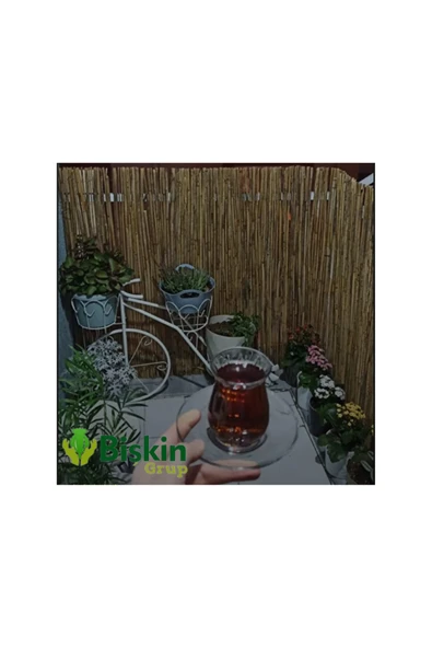 BİŞKİN 90 CM X 3 Metre Bambu Kamış Hasır Çit, Misina İpli Bahçe Ve Balkon Dekorasyonu, Gölgelik Reedfence - Resim 7