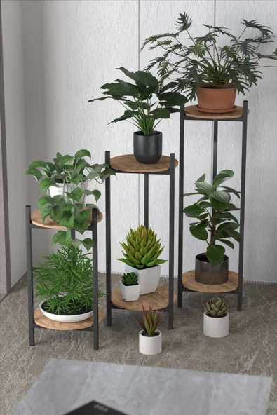 Retodesign 3 Lü Metal Yuvarlak Siyah Çiçeklik Seti . Saksılık . 1491 ürün görseli