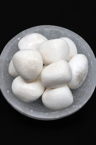 Shell Doğal Taş Tamburlanmış Parça - Tımbıl ürün görseli 1