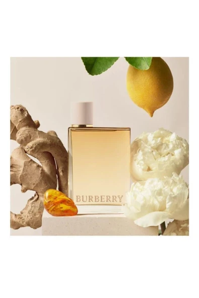 Burberry 100 ml Parfüm - Resim 3
