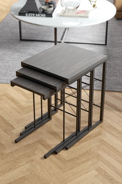 Retodesign 3 Lü Tuvalu Zigon Sehpa 3003 - Resim 3