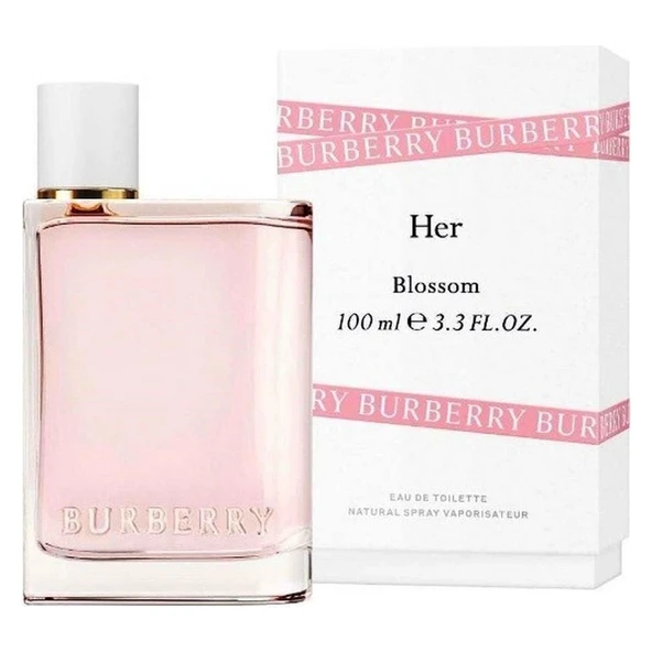 Burberry 100 ml Parfüm ürün görseli