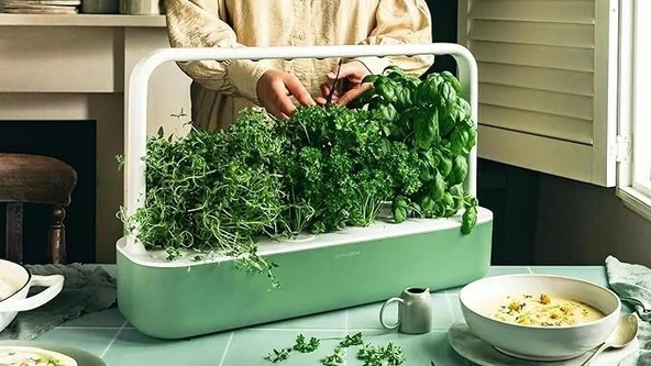 Click & Grow Kapalı Alan Bitki Bahçesi Seti Büyüme Işığı İle - Açık Yeşil - Resim 2