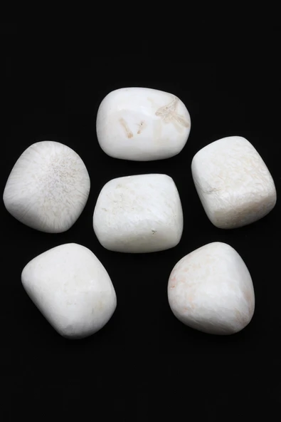 Shell Doğal Taş Tamburlanmış Parça - Tımbıl - Resim 2