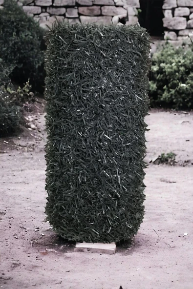 Tanpet Antrasit Çim Çit Örgü Telli Bahçe Çiti 200 cm X 7 Mt ürün görseli