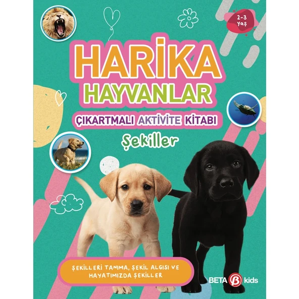 Harika Hayvanlar - Çıkartmalı Aktivite Kitabı ürün görseli