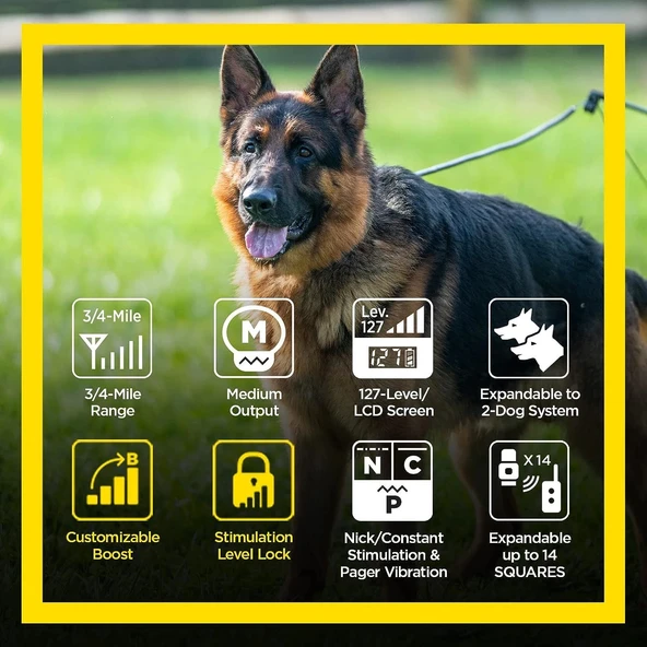 Dogtra Arc HANDSFREE Plus Güçlendirme ve Kilitleme, Uzaktan Köpek Eğitimi - Resim 3