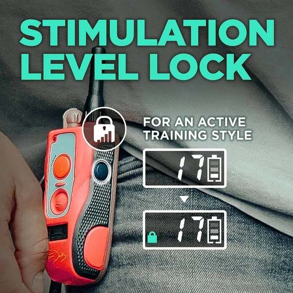 Dogtra Tom Davis 280C Uzaktan Köpek Eğitimi E-Yakasını Güçlendir ve Kilitle - Resim 4