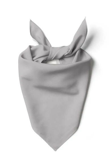 Şifon Gümüş Bandana - Resim 3