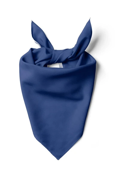 Şifon Saks Bandana - Resim 3