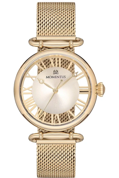 MOMENTUS CW280G-08SG ürün görseli