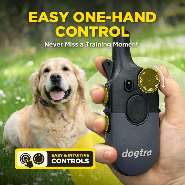 Dogtra 200iQ Uzaktan Eğitim E-Tasması 4,5+ Kg Köpekler - Gri - Resim 3