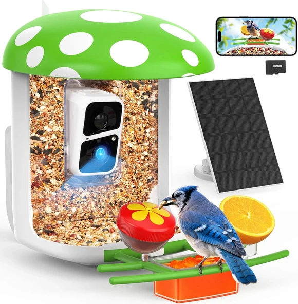 Peckcam Akıllı Kuş Yemliği, Kamera, 2K Canlı Gerçek Zamanlı Uyarı - Yeşil ürün görseli
