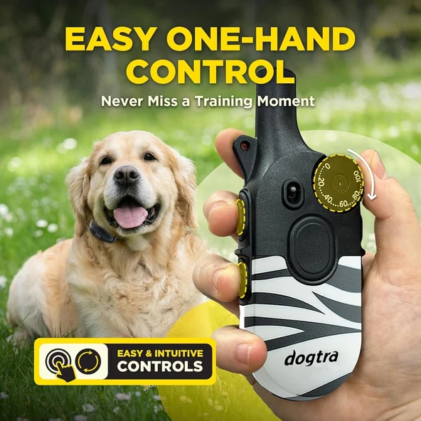 Dogtra 200iQ Uzaktan Eğitim E-Tasması 4,5+ Kg Köpekler - Zebra - Resim 3