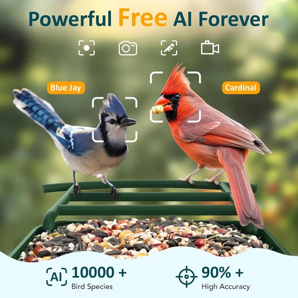 BirdLegend Akıllı Kuş Yemliği Kameralı Güneş Enerjili, 1080P HD - Yeşil - Resim 5