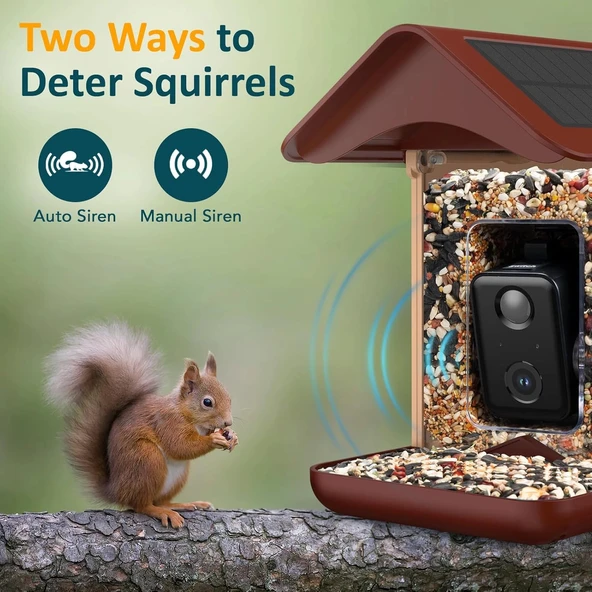 BirdLegend BL01 Kameralı Kuş Yemliği Güneş Enerjili - Kırmızı - Resim 4