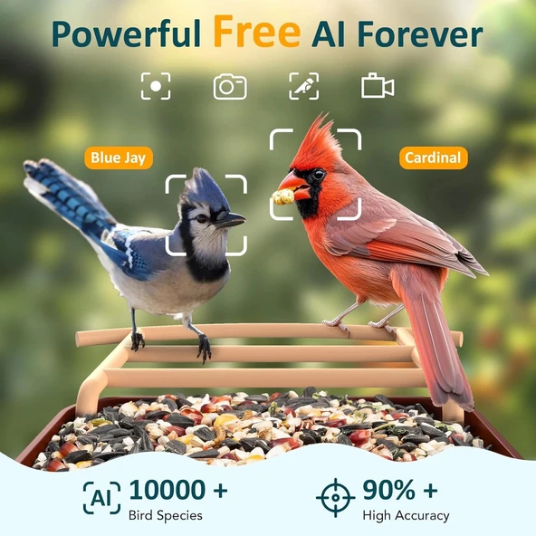 BirdLegend BL01 Kameralı Kuş Yemliği Güneş Enerjili - Kırmızı - Resim 3