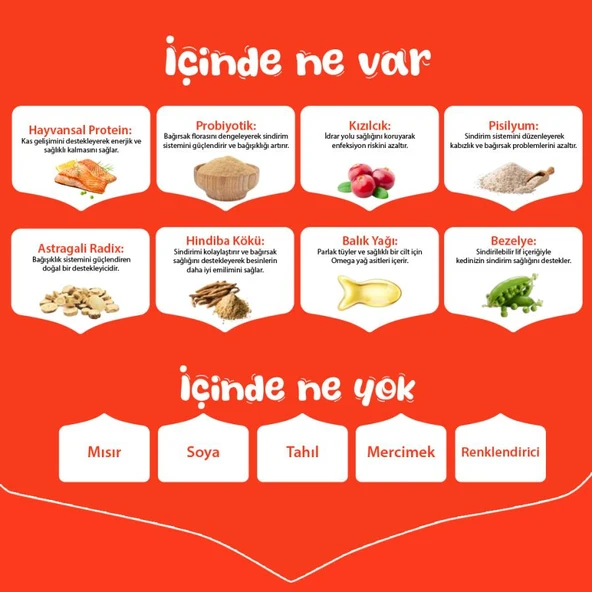 Wanpy Tahılsız Somonlu Yetişkin Kedi Maması 8 kg - Resim 5