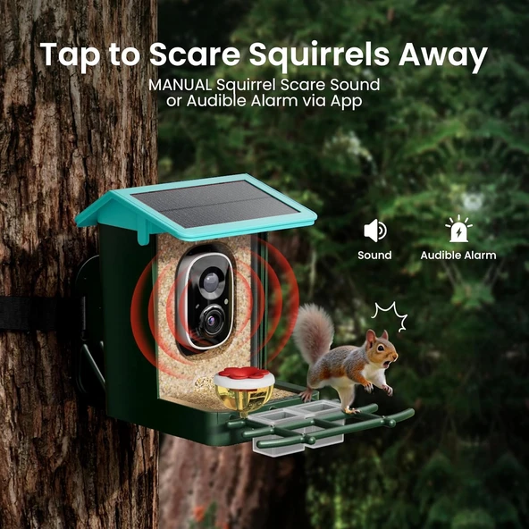 Heapets Kamera, Güneş Enerjili 2K HD Video - Nane Mavisi - Resim 5