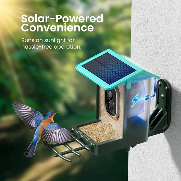 Heapets Kamera, Güneş Enerjili 2K HD Video - Nane Mavisi - Resim 4