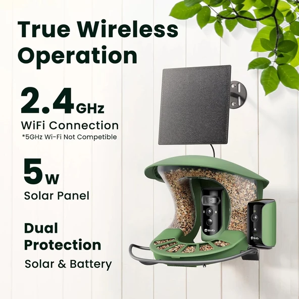 Birdfy 2 Akıllı Kuş Yemliği, Kamera, AI ile Kuş Türlerini Tanımlama 2 Kamera - Resim 2